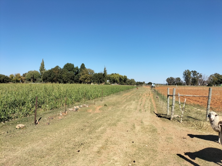 Commercial Property for Sale in Bainsvlei Free State